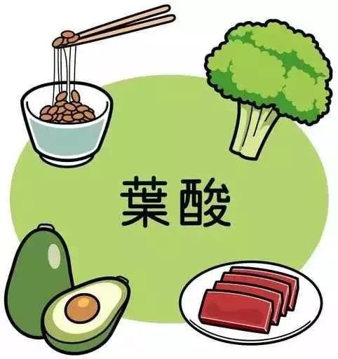 检康：含叶酸的食物