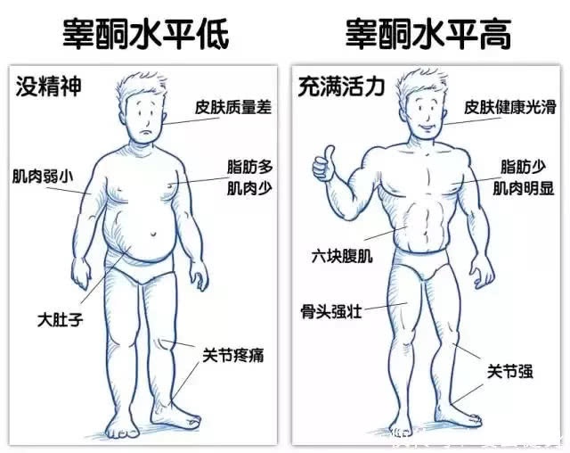 检康：睾酮对身体的影响